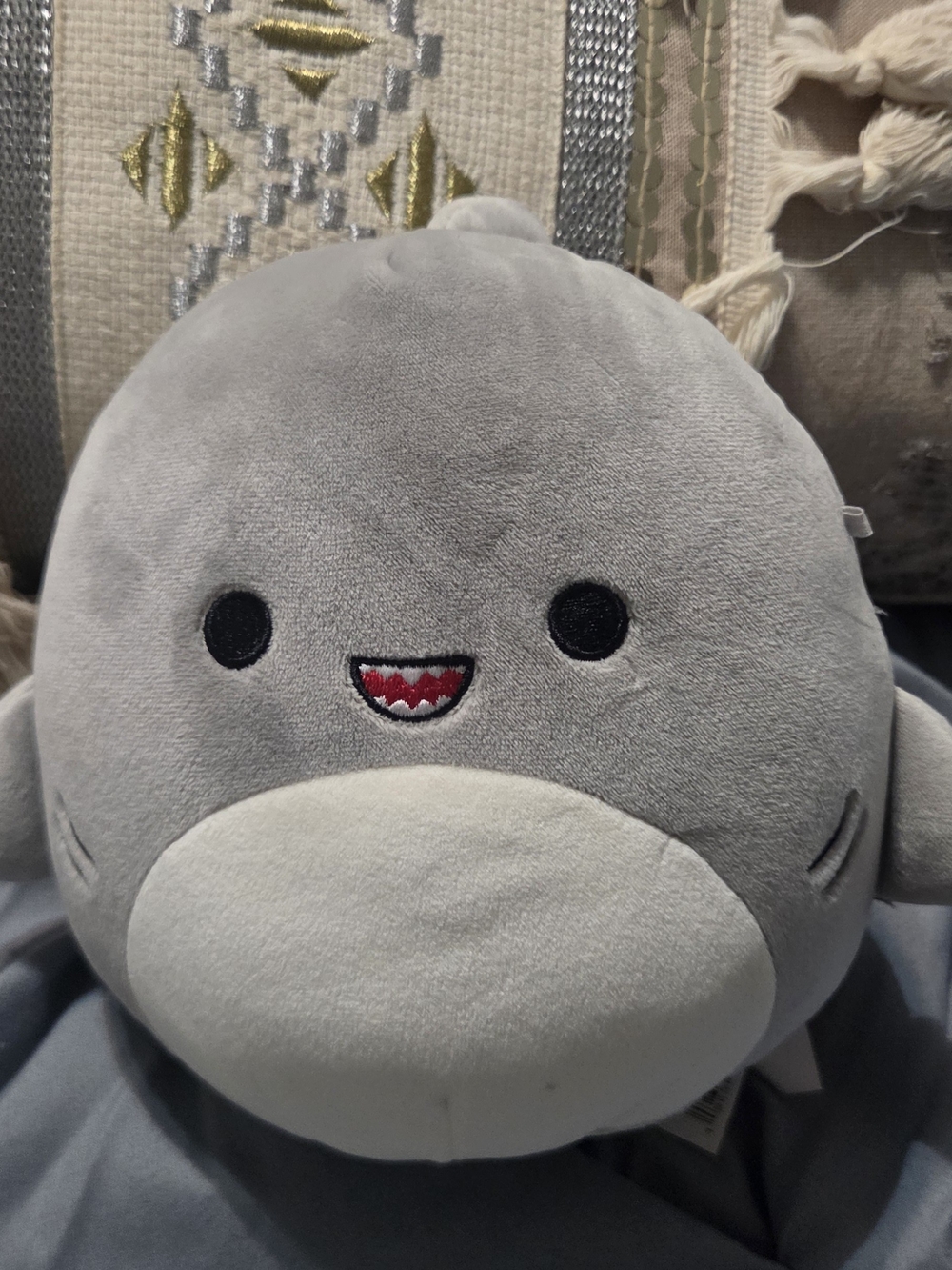 Gordon the Shark Squishmallow